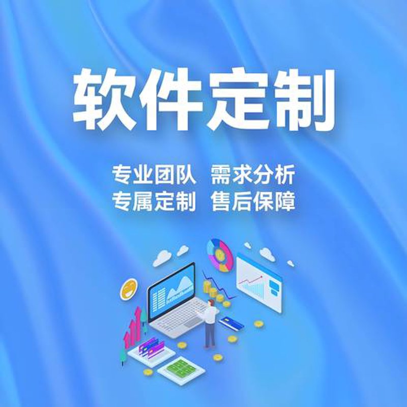 海南软件开发领航者：行业动态与未来趋势