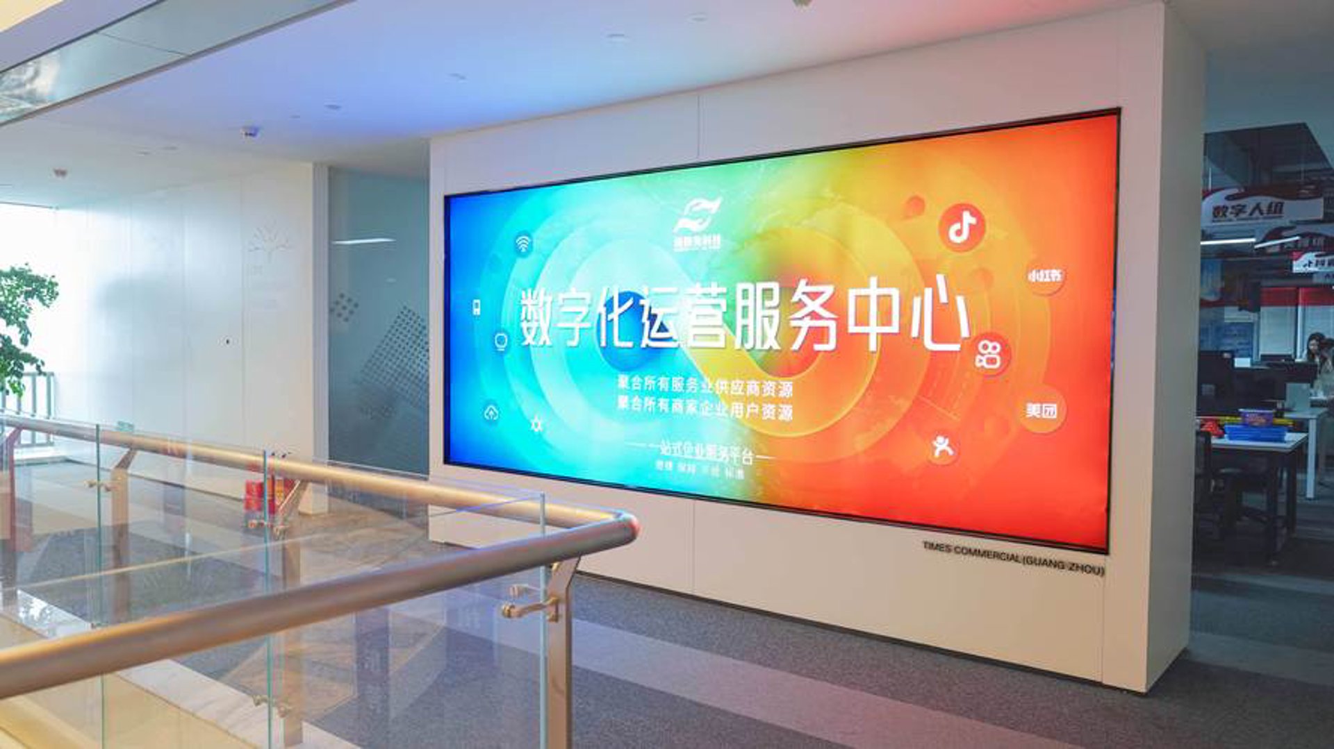 史磊椿网络科技